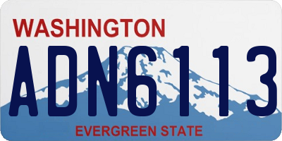 WA license plate ADN6113
