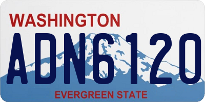 WA license plate ADN6120
