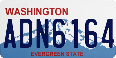 WA license plate ADN6164