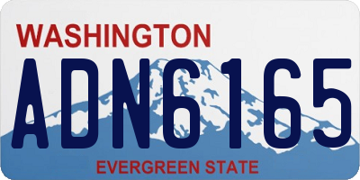 WA license plate ADN6165