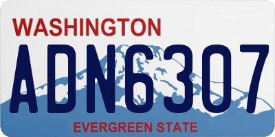 WA license plate ADN6307