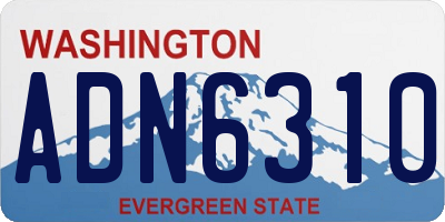 WA license plate ADN6310