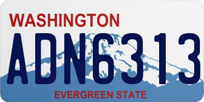 WA license plate ADN6313