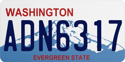 WA license plate ADN6317