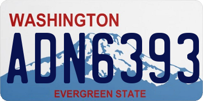 WA license plate ADN6393
