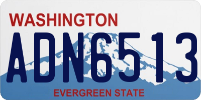 WA license plate ADN6513
