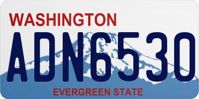 WA license plate ADN6530