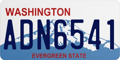 WA license plate ADN6541
