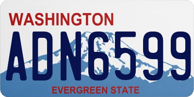 WA license plate ADN6599