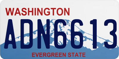 WA license plate ADN6613