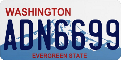 WA license plate ADN6699