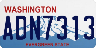 WA license plate ADN7313