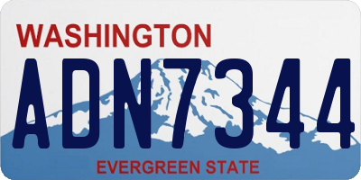 WA license plate ADN7344