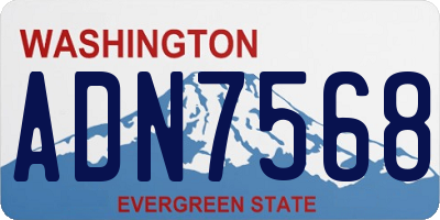 WA license plate ADN7568
