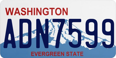 WA license plate ADN7599