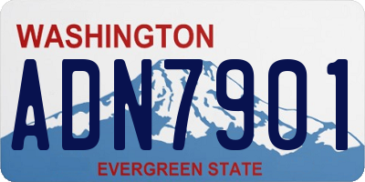 WA license plate ADN7901
