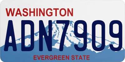 WA license plate ADN7909