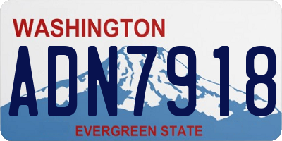 WA license plate ADN7918