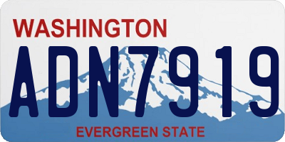 WA license plate ADN7919