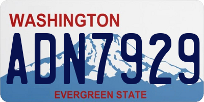 WA license plate ADN7929