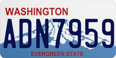 WA license plate ADN7959