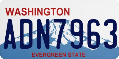 WA license plate ADN7963