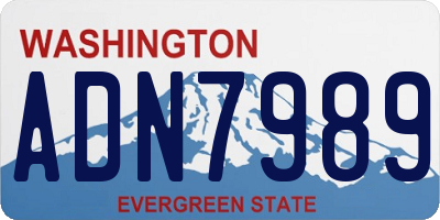 WA license plate ADN7989