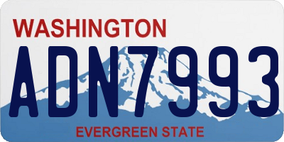 WA license plate ADN7993