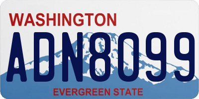 WA license plate ADN8099