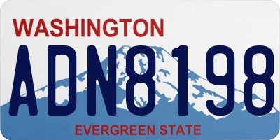 WA license plate ADN8198