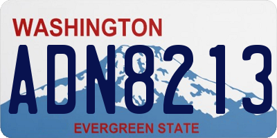 WA license plate ADN8213