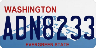 WA license plate ADN8233
