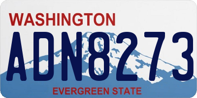 WA license plate ADN8273