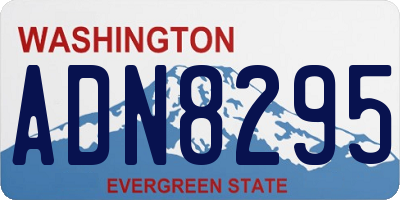 WA license plate ADN8295