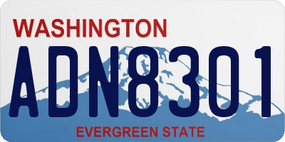WA license plate ADN8301