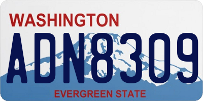 WA license plate ADN8309