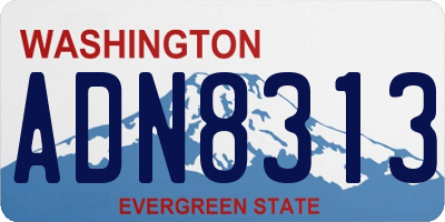 WA license plate ADN8313