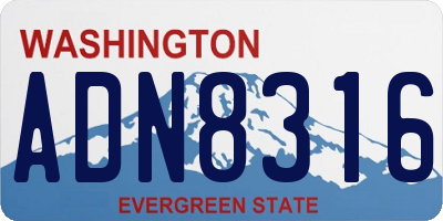 WA license plate ADN8316
