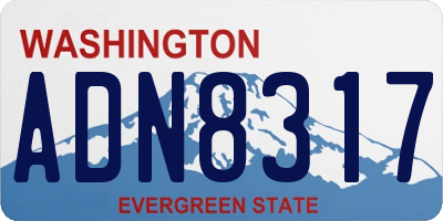 WA license plate ADN8317