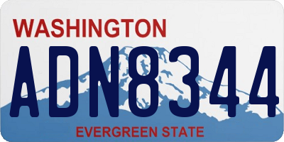 WA license plate ADN8344