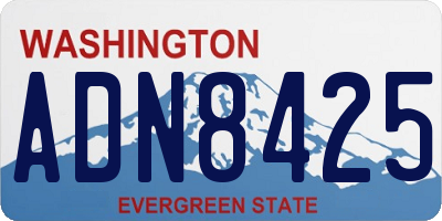 WA license plate ADN8425