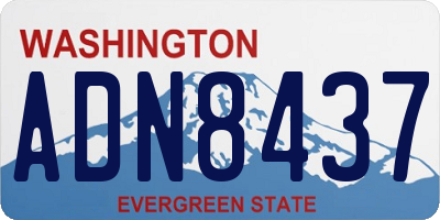 WA license plate ADN8437