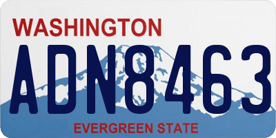 WA license plate ADN8463