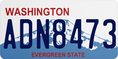 WA license plate ADN8473