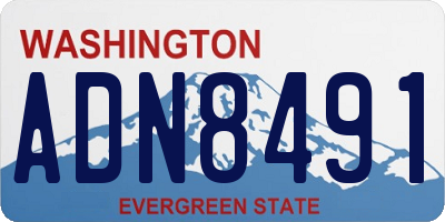 WA license plate ADN8491