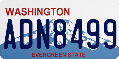 WA license plate ADN8499