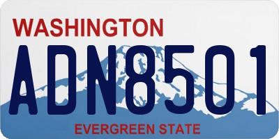 WA license plate ADN8501