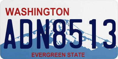 WA license plate ADN8513