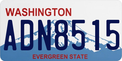 WA license plate ADN8515