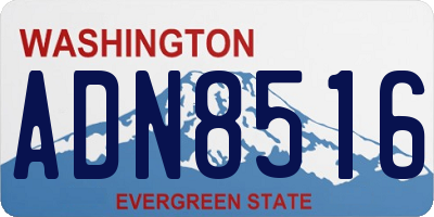 WA license plate ADN8516